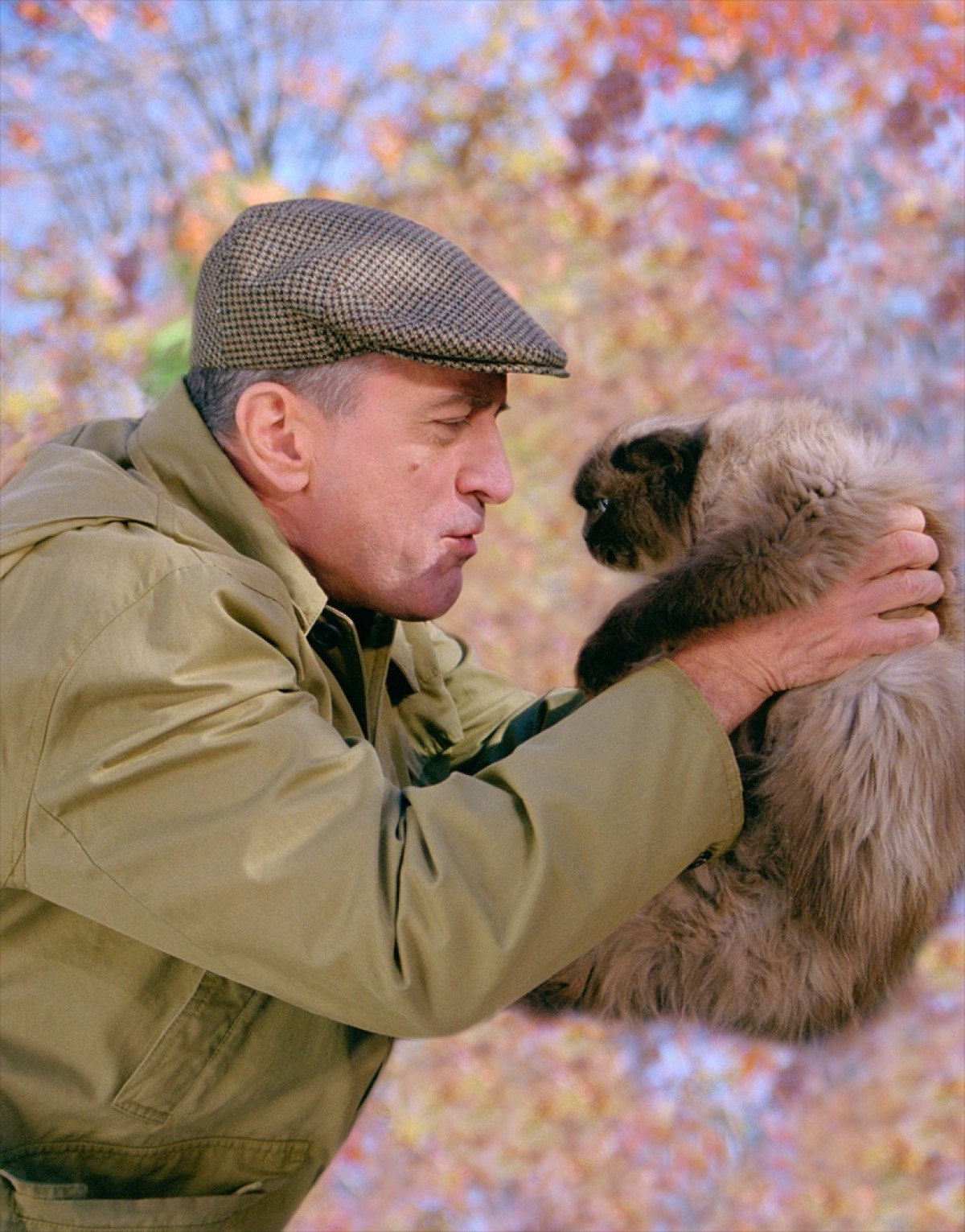 「映画に登場する猫トップ10」 1位は “つぶらな瞳”が必殺技の長ぐつをはいた猫