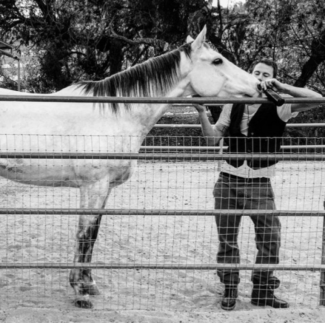 保護された馬の里親になったチャニング・テイタム