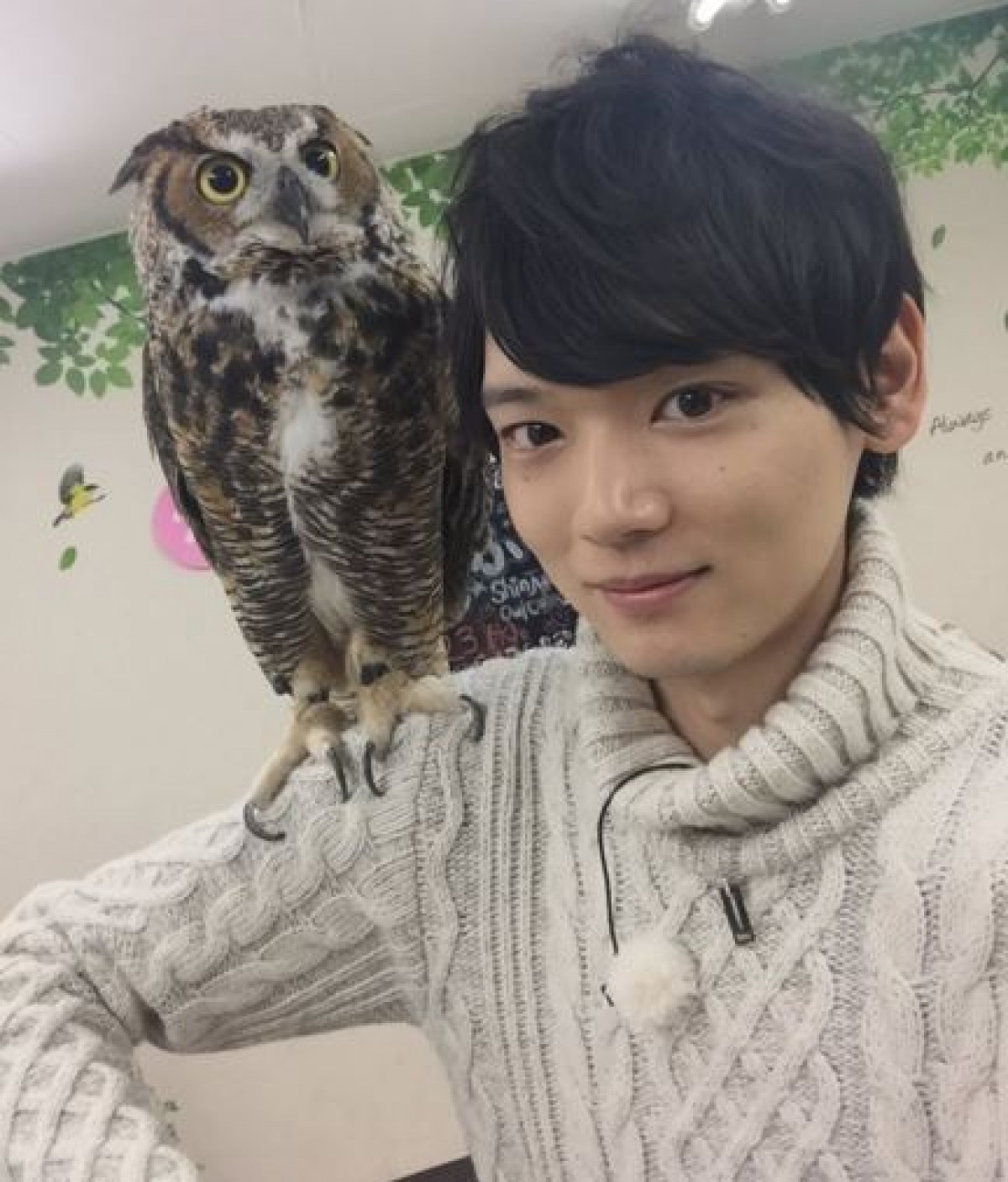 古川雄輝、フクロウカフェにご満悦