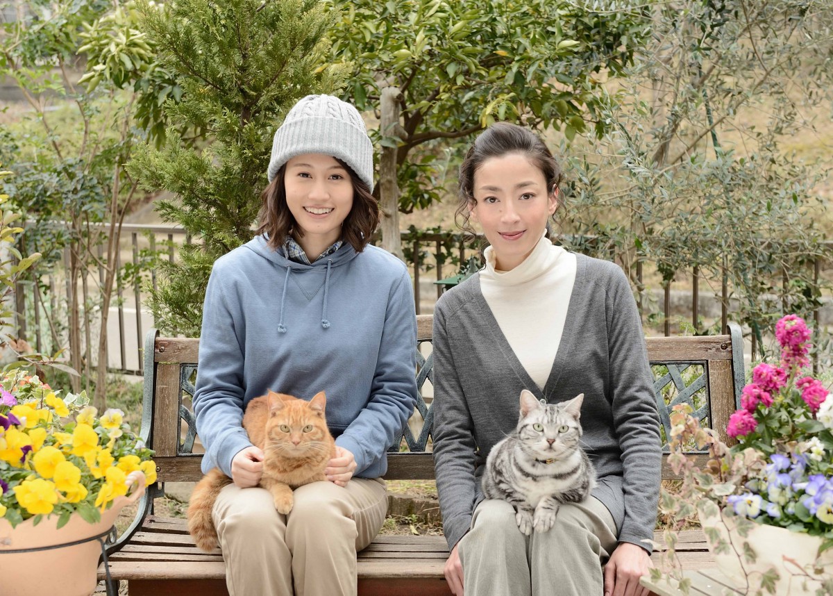 前田敦子、宮沢りえとの共演に「たくましさは圧巻」『グーグーだって猫である2』出演