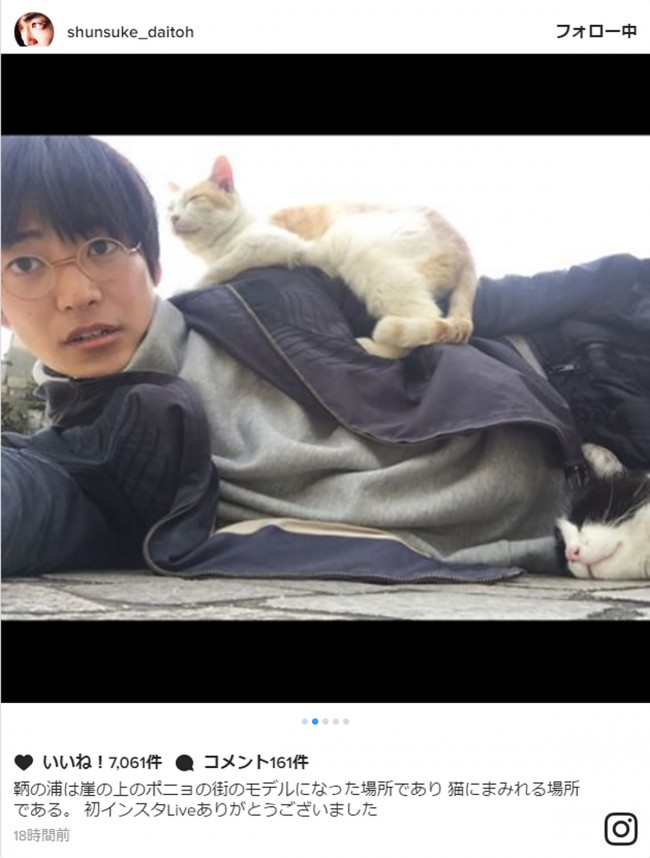 大東駿介、猫との“モフモフ”ショット披露　※「大東駿介」インスタグラム