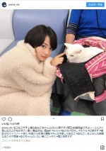 広瀬すずとネコのあなごちゃんの癒やしツーショットに反響　※ドラマ『anone』インスタグラム