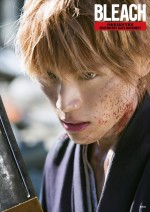 『映画 BLEACH 写真集 DEATHBERRY DAYS DOCUMENT』表紙