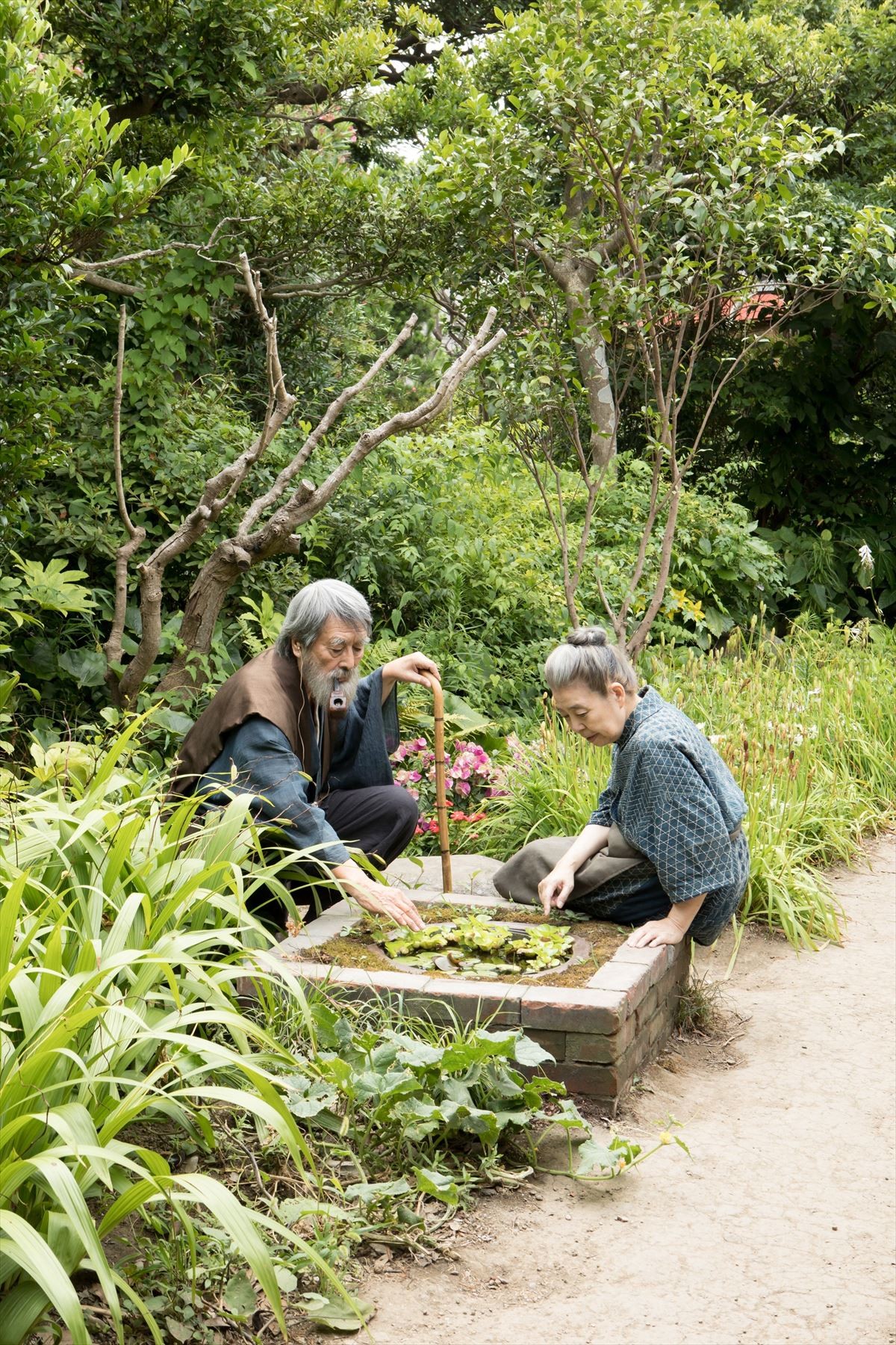 樹木希林、北米映画祭で受賞も「それは何ですか？」と情報知らず