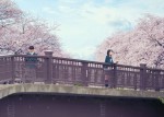 映画『君の膵臓がたべたい』場面写真