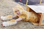 【写真】主人公を演じる北山宏光の猫姿＆デザイン画