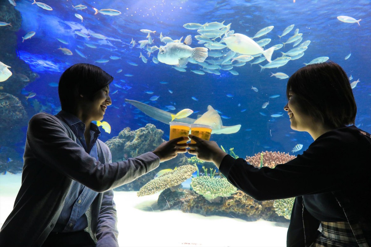 サンシャイン水族館 夏フェス2019