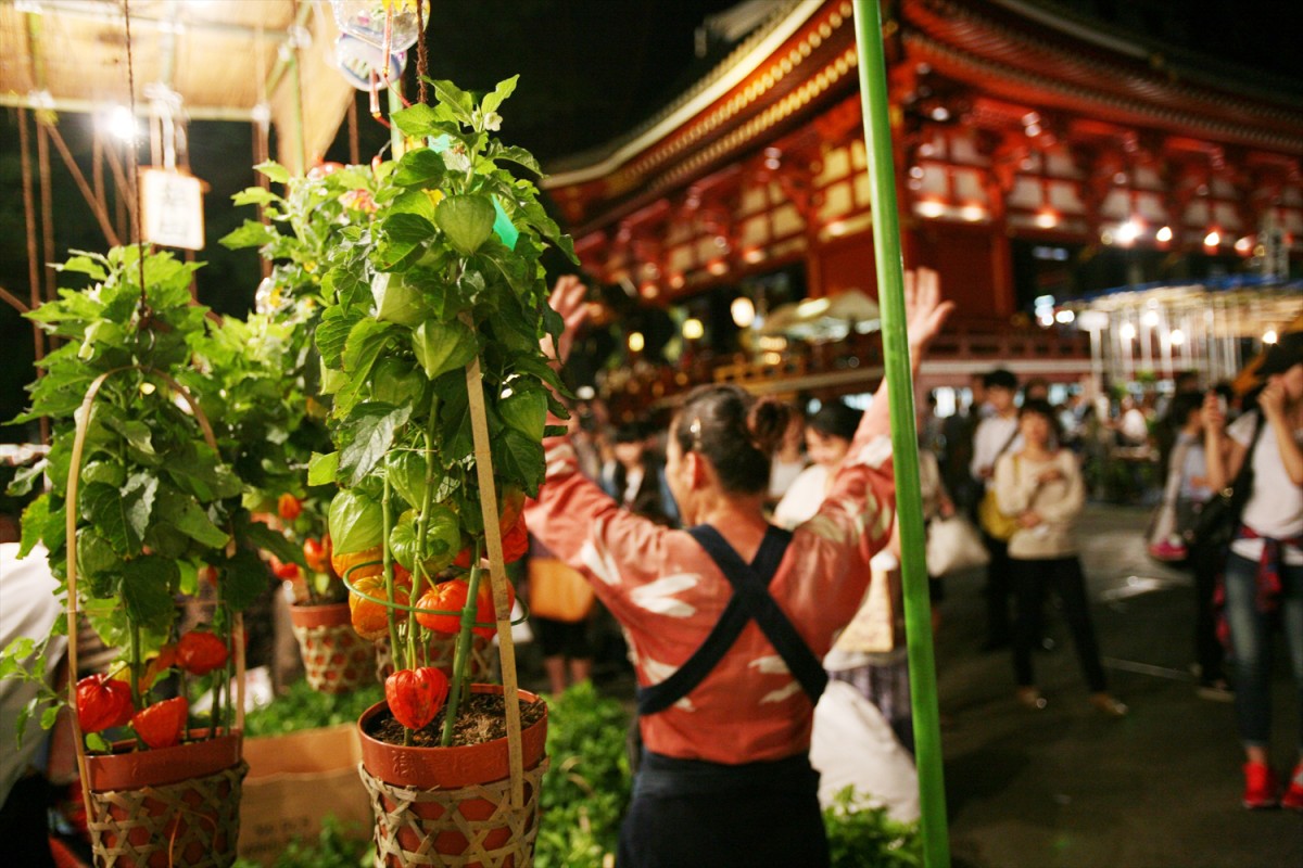 7月・都内で楽しめる夏祭り