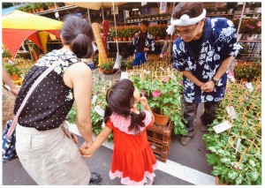 7月・都内で楽しめる夏祭り