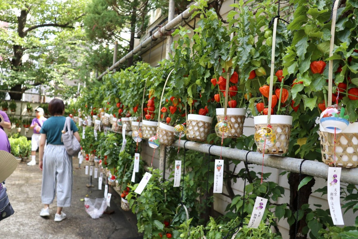 7月・都内で楽しめる夏祭り