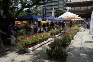 7月・都内で楽しめる夏祭り