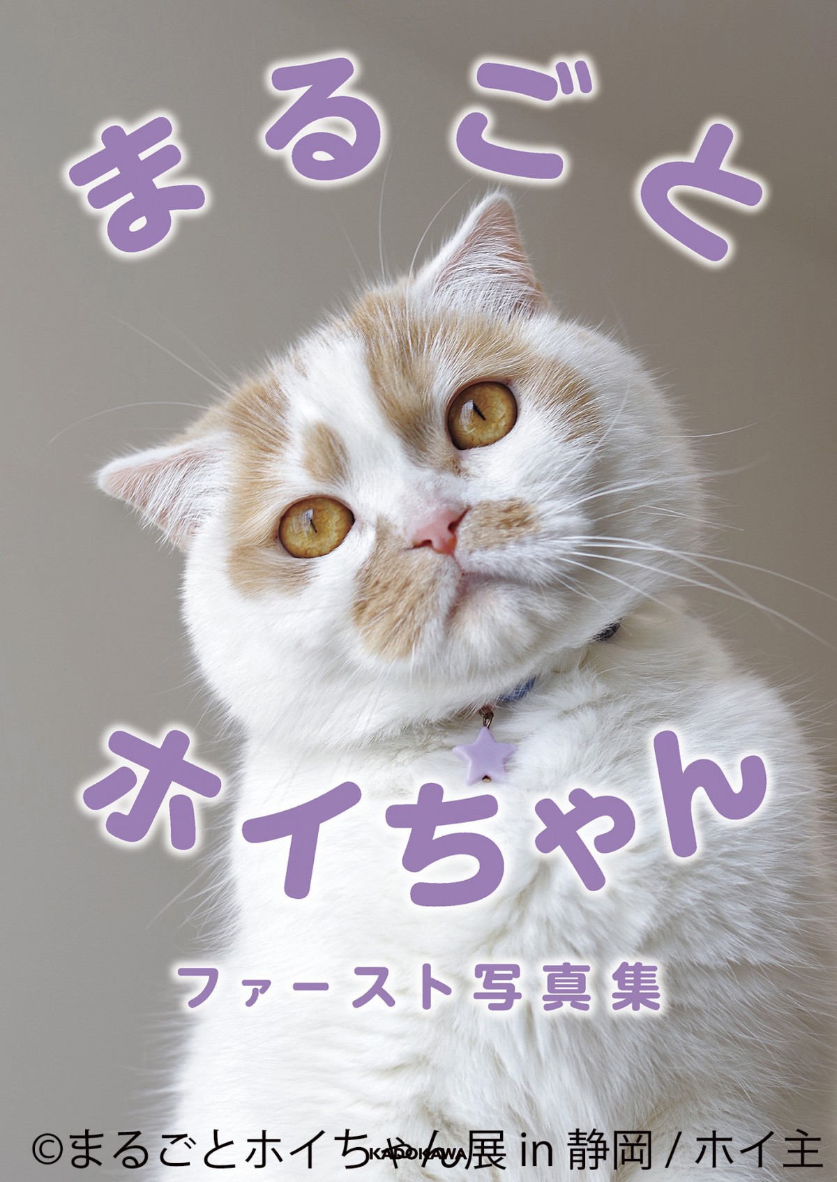 「ねこ休み展」スピンオフ企画「まるごとホイちゃん展 in 静岡」