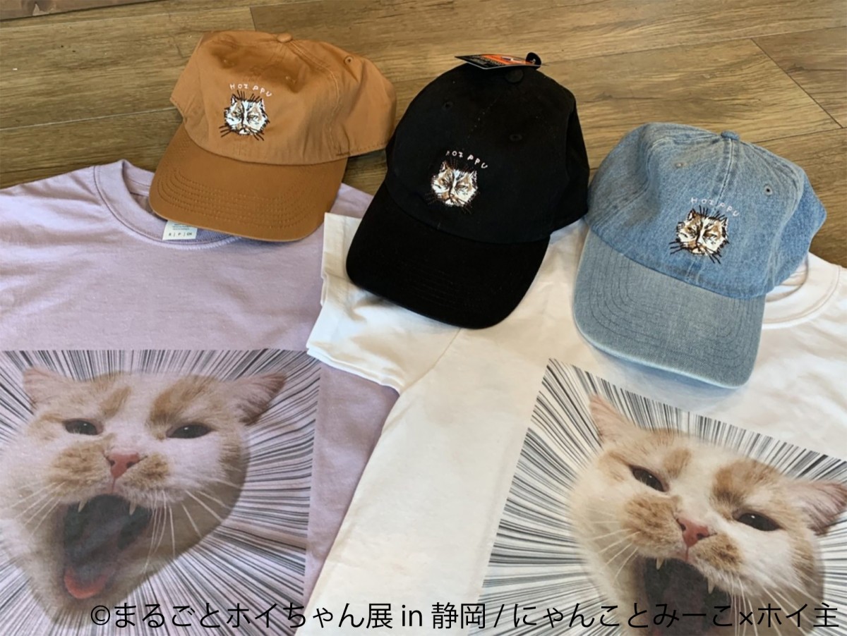 「ねこ休み展」スピンオフ企画「まるごとホイちゃん展 in 静岡」