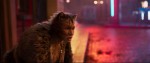 映画『キャッツ』場面写真