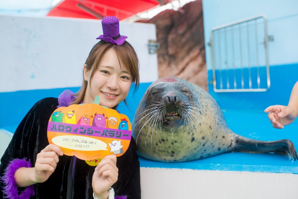 ふれあいモンスター!ハロウィンパラダイス‼