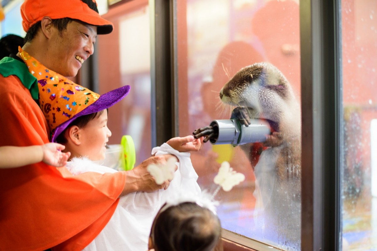 ふれあいモンスター!ハロウィンパラダイス‼