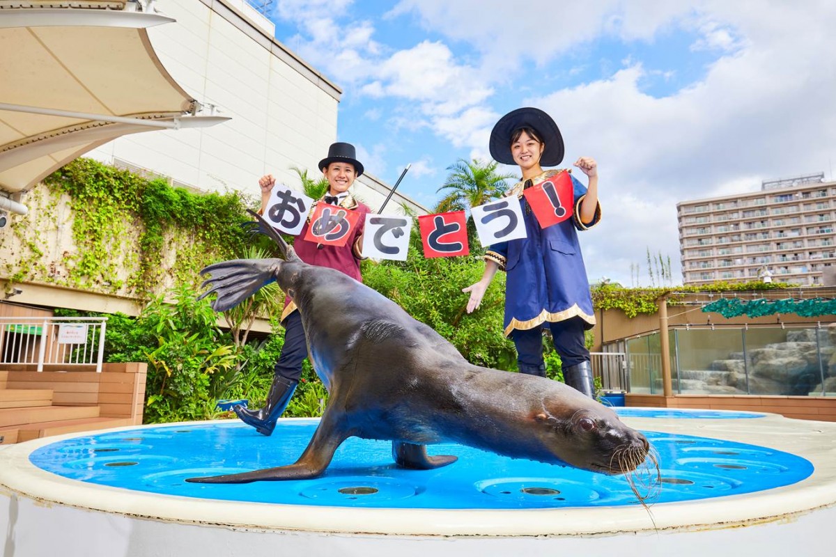 お正月のサンシャイン水族館