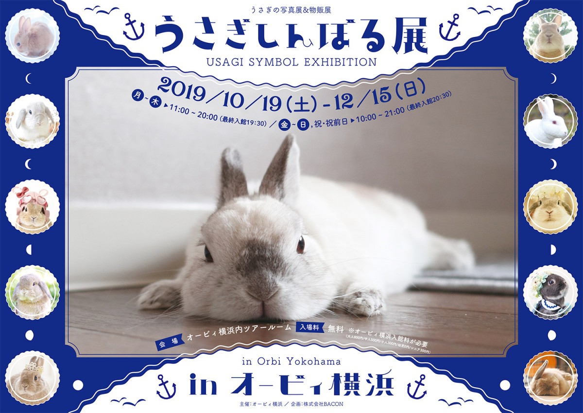 かわいいウサギの写真＆グッズが集合　「うさぎしんぼる展」横浜で開催