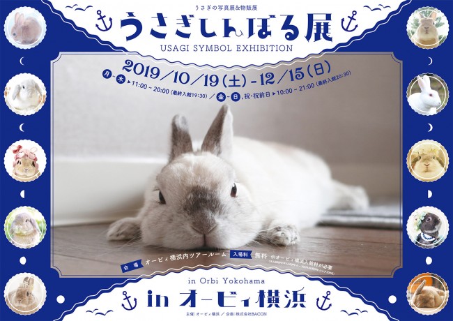 「うさぎしんぼる展」10．18から横浜で初開催！　かわいいウサギの写真＆グッズが集合