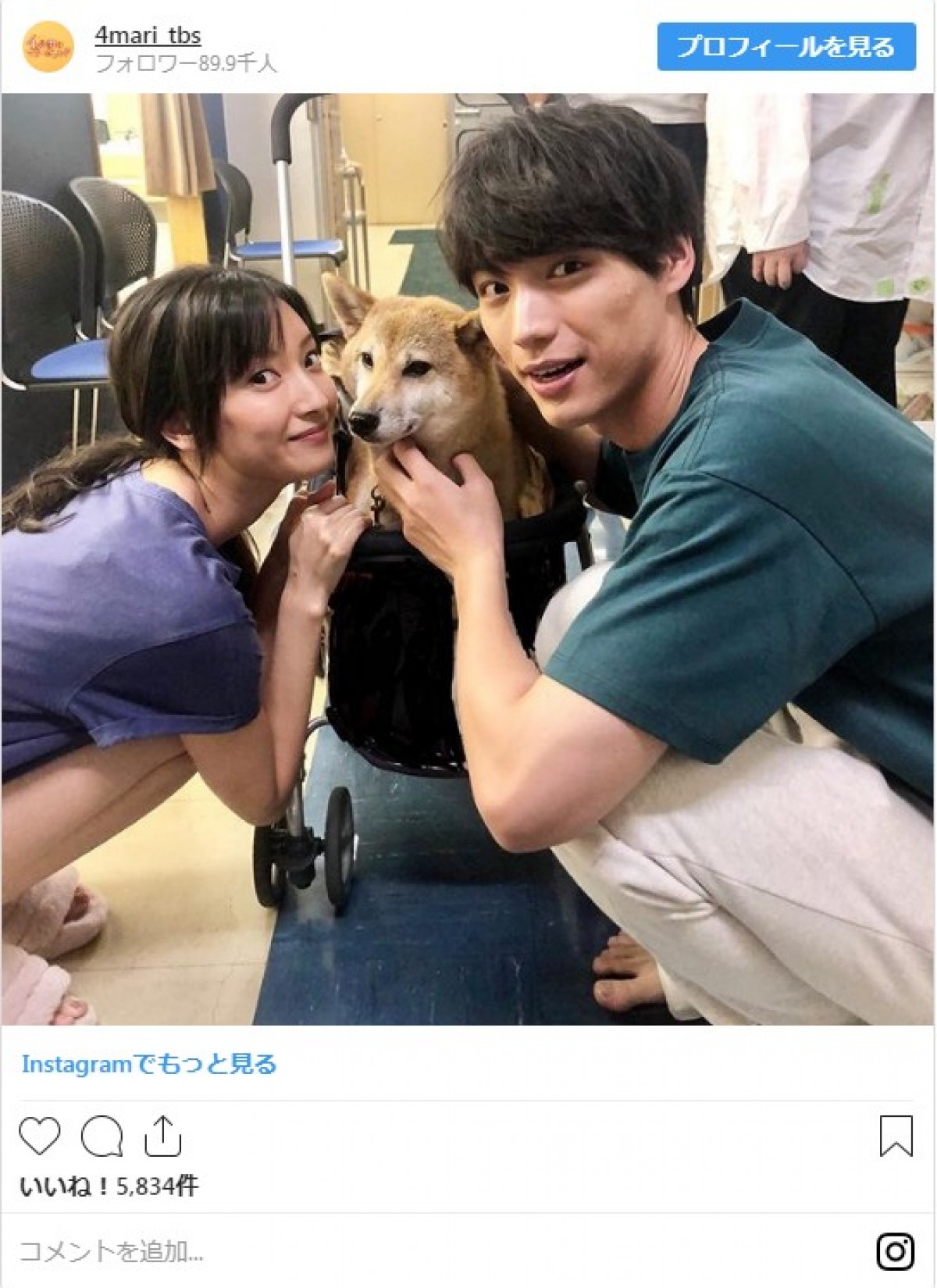 福士蒼汰＆菜々緒、愛犬との3ショット披露に「みんなかわいい」と反響