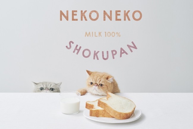 「ねこねこ食パン」千葉に初オープン！　ミルキーで、しっとりもっちりな口あたり