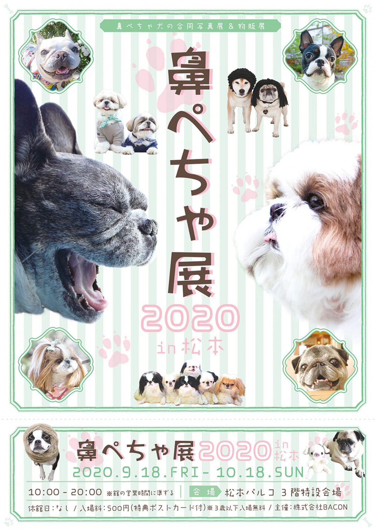 「鼻ぺちゃ展2020」が松本初上陸