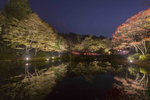 六甲山〜有馬温泉 アート・ナイト・プロジェクト