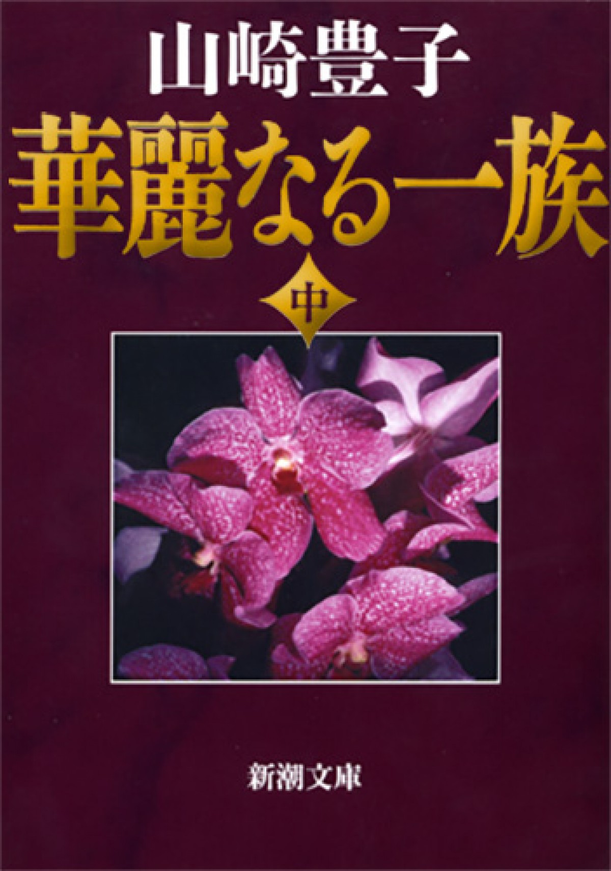 中井貴一主演『華麗なる一族』、向井理＆藤ヶ谷太輔が初の兄弟役で出演