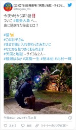 高橋一生、猫と入れ替わり？　※『天国と地獄～サイコな2人～』公式ツイッター