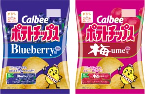 あのロッテの“板ガム”がポテトチップスに！　ドン・キホーテなどで限定販売