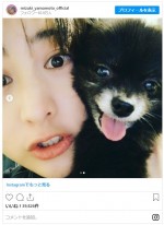 山本美月と愛犬、そのほかのショット　※「山本美月」インスタグラム