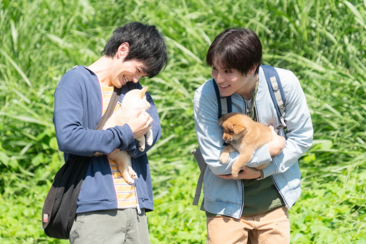 映画『犬部！』場面写真