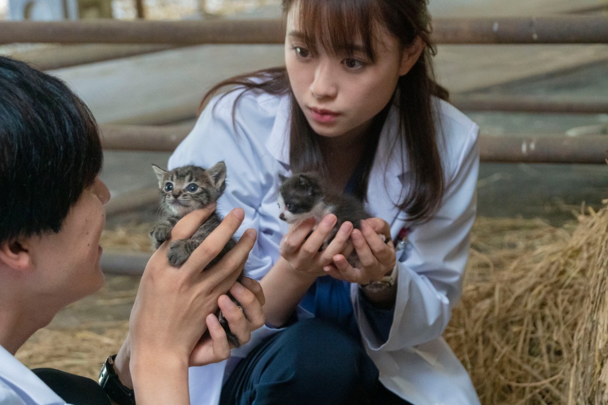 林遣都が犬と眠る姿も　中川大志ら動物保護に人生をかける『犬部！』場面写真10点解禁