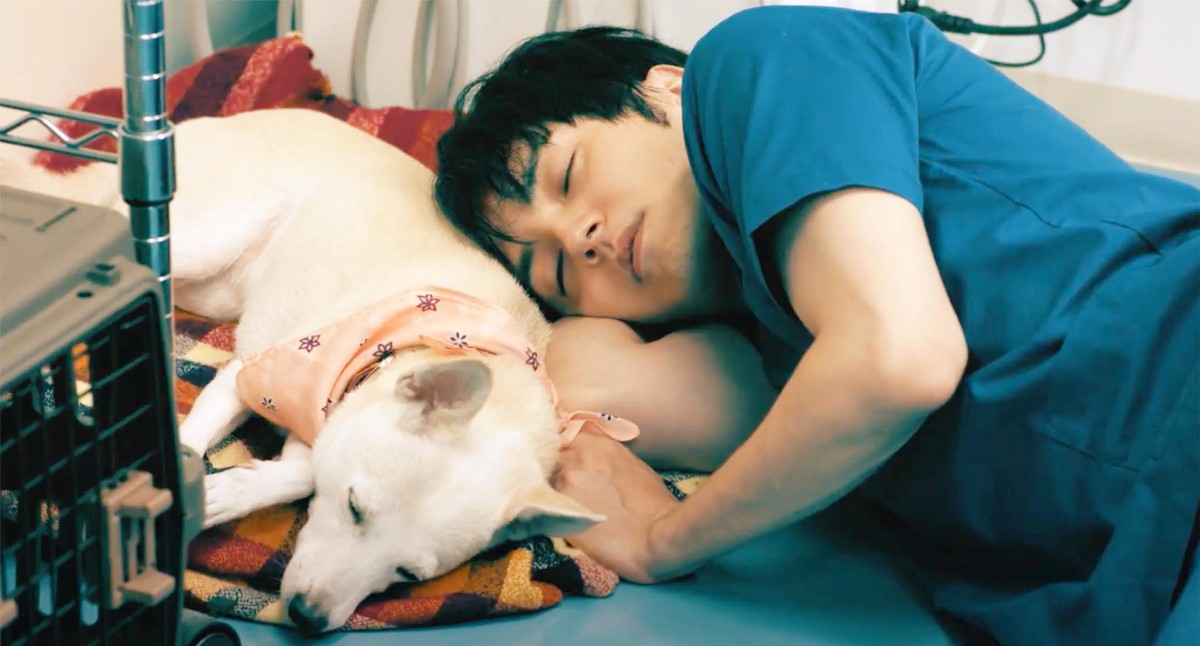 林遣都が犬と眠る姿も　中川大志ら動物保護に人生をかける『犬部！』場面写真10点解禁