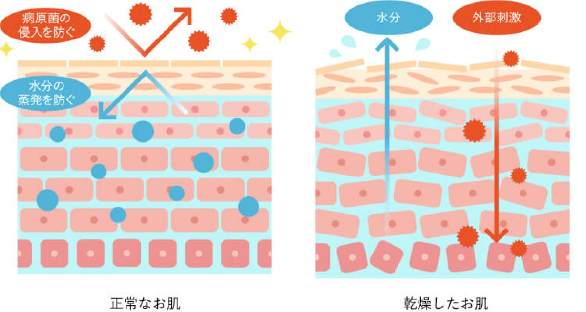 インナードライ肌　大正製薬