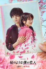 中島健人×松本穂香『桜のような僕の恋人』配信日決定　ティーザー予告解禁