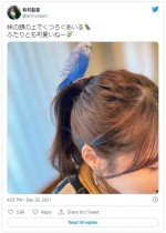 ペットのセキセイインコが妹・架純の頭に乗った瞬間をパシャリ　※「有村藍里」ツイッター