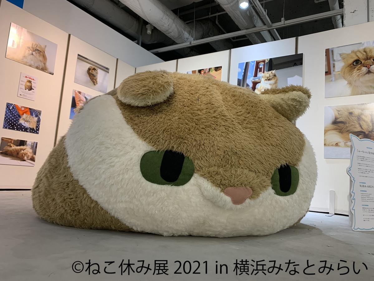 ねこ休み展 2021 in 横浜みなとみらい