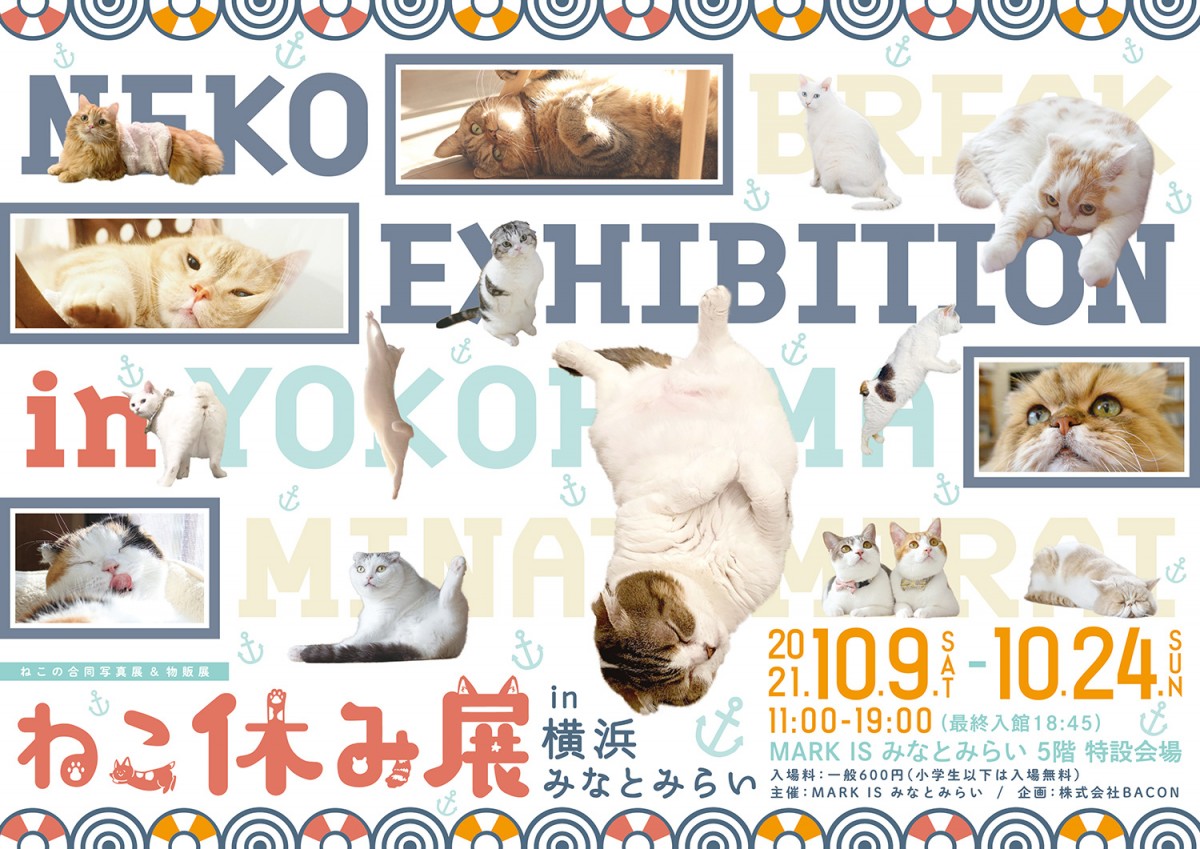 ねこ休み展 2021 in 横浜みなとみらい