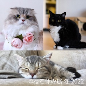 20220127_ねこ休み展 冬 2022