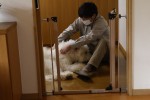 映画『ハウ』田中圭×俳優犬・ベックのかわいすぎる写真公開