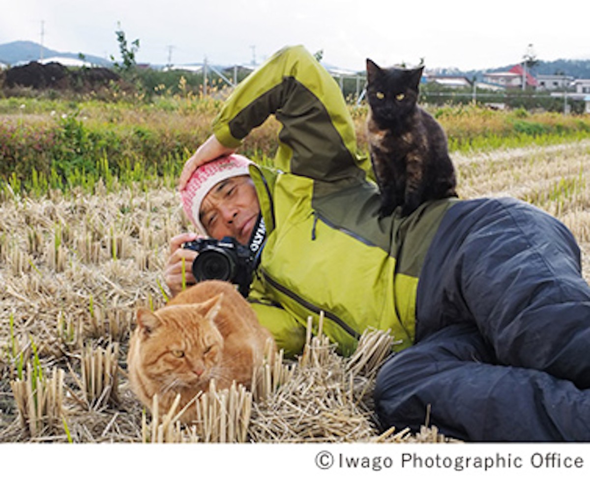 岩合光昭写真展 「こねこ」