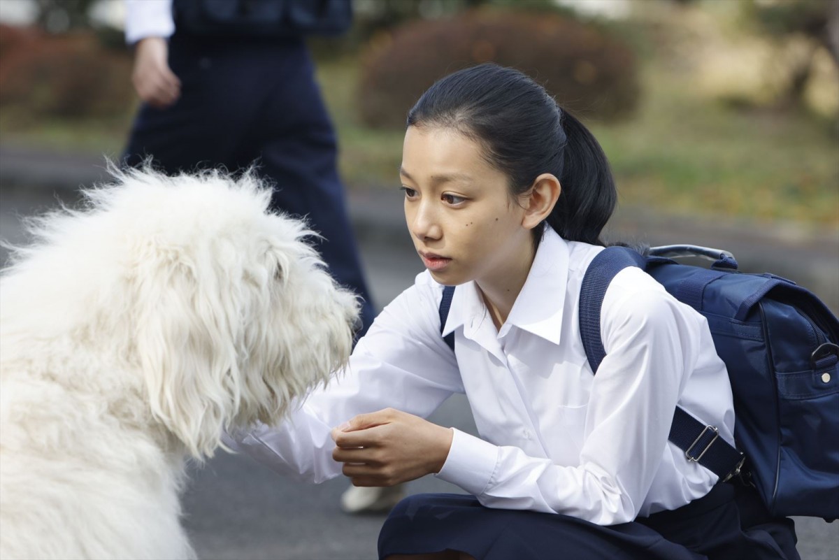 田中圭「ハウのピュアさにずっと癒されていた」　豪華キャストと保護犬“ハウ”の心温まる場面写真公開