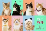 【写真】主役の座が“ねこ”に!?『ねこ物件』エイプリルフールの1DAY限定ジャック