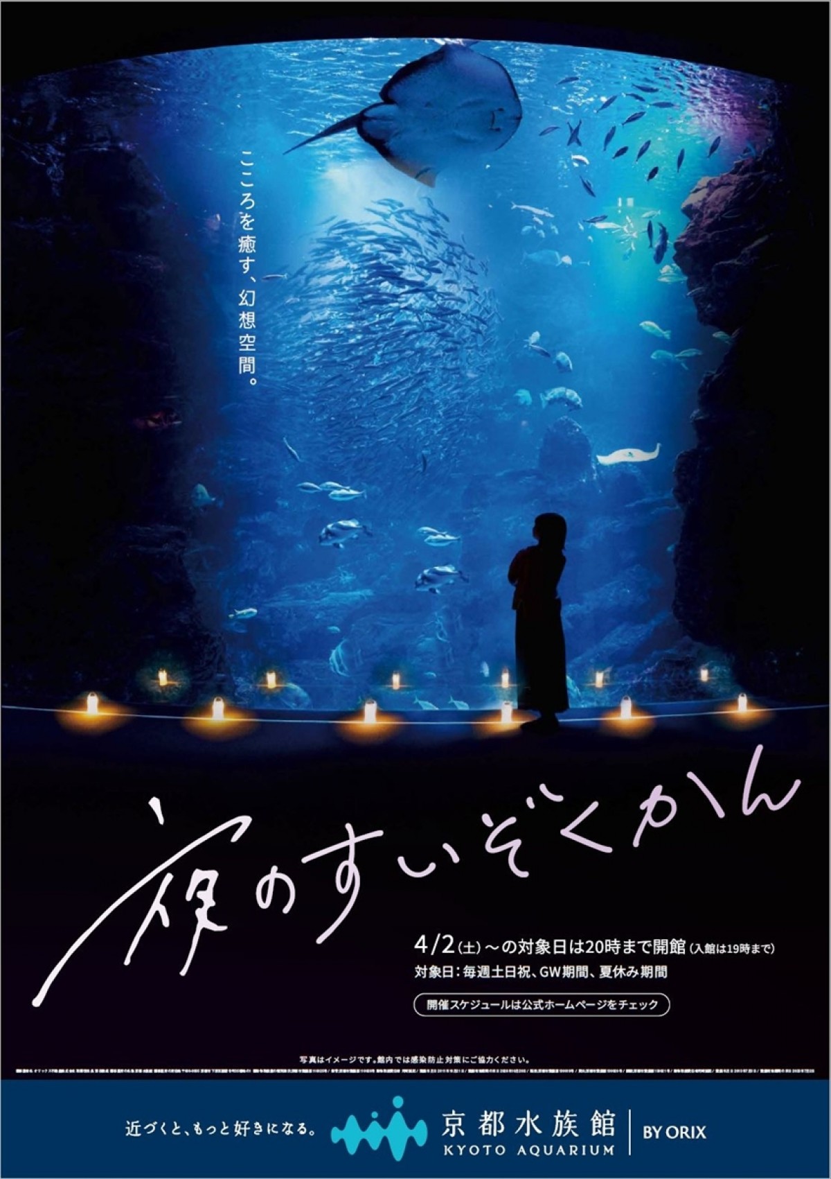 京都水族館「夜のすいぞくかん」4．2から開催！