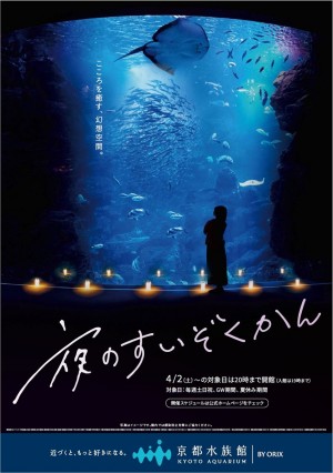 京都水族館「夜のすいぞくかん」4．2から開催！