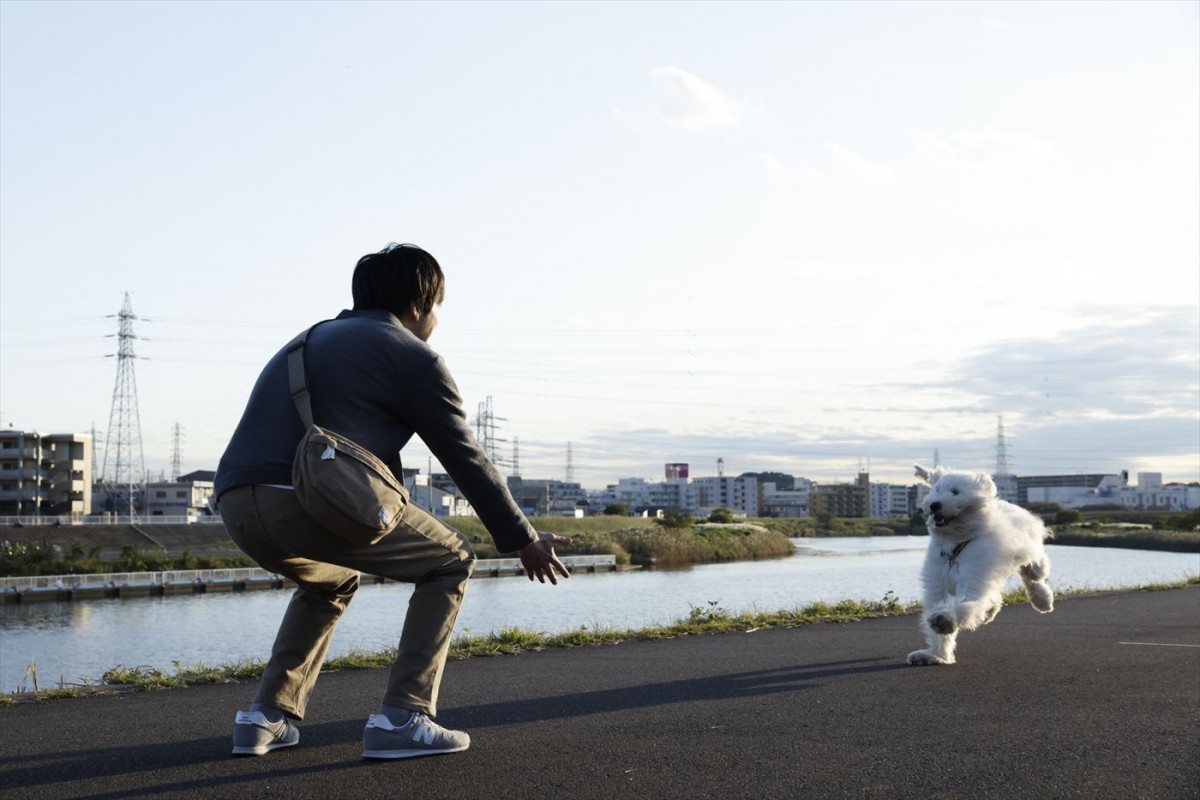 田中圭ら、俳優犬ベックのかわいすぎるNGにメロメロ　映画『ハウ』現場オフショット映像到着