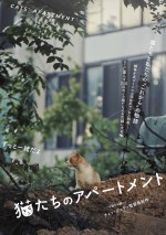 マンモス団地のノラ猫250匹、お引っ越し大作戦！　『猫たちのアパートメント』特報映像