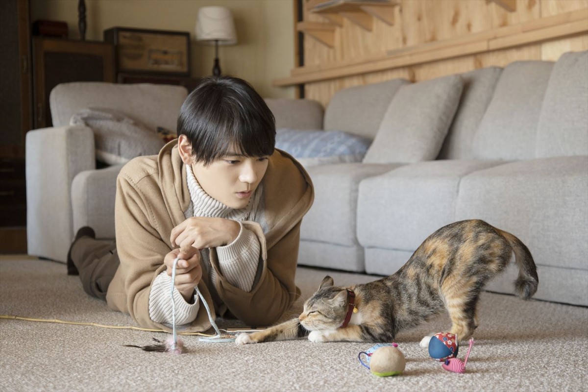 古川雄輝主演ドラマ『ねこ物件』が映画化、8月公開決定＆愛くるしいねこ満載の超特報解禁