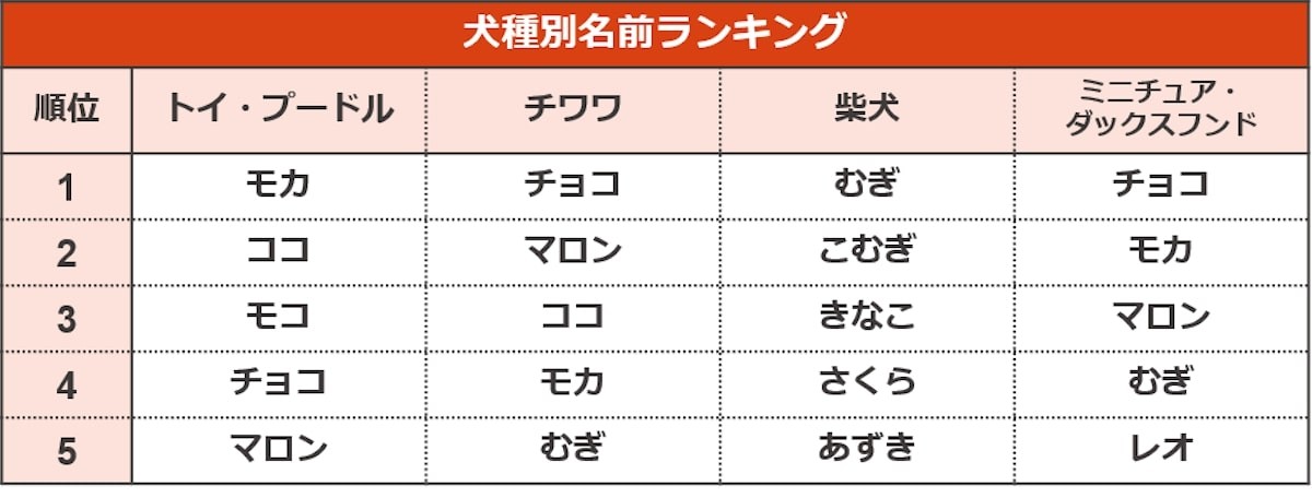 ペットの名前ランキング2022